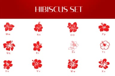Hibiscus Set by Heartcraft Atelier — Dingbats Font — thumbnail 3