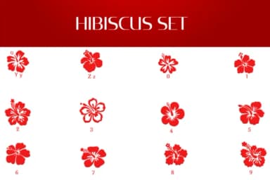 Hibiscus Set by Heartcraft Atelier — Dingbats Font — thumbnail 4
