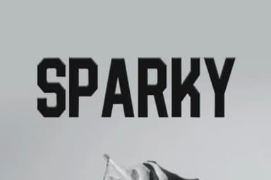 Hold by Hendrik studio — Slab Serif Font — thumbnail 2