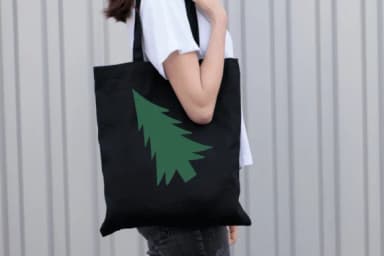 Holiday Ornaments by Nongyao — Dingbats Font — thumbnail 6