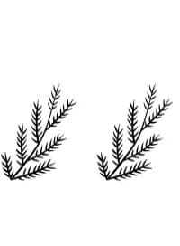 Holly Christmas by Sirinart — Dingbats Font — thumbnail 7