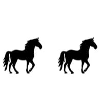 Horse by Nongyao — Dingbats Font — thumbnail 8