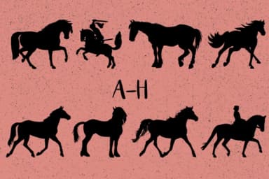 Horses by Minimalistartstudio — Dingbats Font — thumbnail 2
