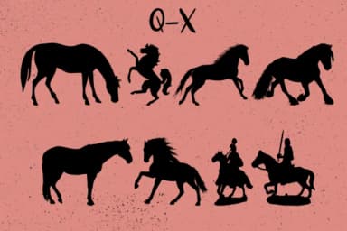 Horses by Minimalistartstudio — Dingbats Font — thumbnail 4