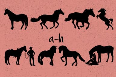 Horses by Minimalistartstudio — Dingbats Font — thumbnail 6
