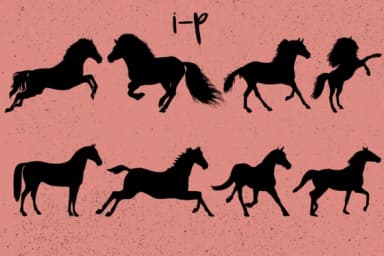 Horses by Minimalistartstudio — Dingbats Font — thumbnail 7