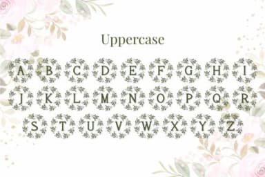 Hortensia by Font-Tastic — Dingbats Font — thumbnail 3