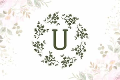 Hortensia by Font-Tastic — Dingbats Font — thumbnail 6