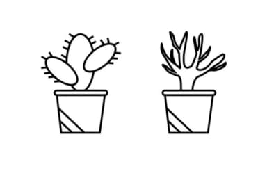 House Plant by Infinity art Studio — Dingbats Font — thumbnail 3