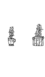 House Plants by QueenCraft — Dingbats Font — thumbnail 5