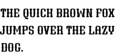 Human Hacked by Arnika Studio — Slab Serif Font — thumbnail 7