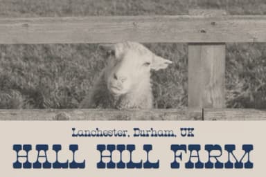 Hunting Ground by Denustudios — Slab Serif Font — thumbnail 3