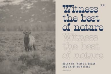 Hunting Ground by Denustudios — Slab Serif Font — thumbnail 5