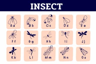 Insect by Sirinart — Dingbats Font — thumbnail 2