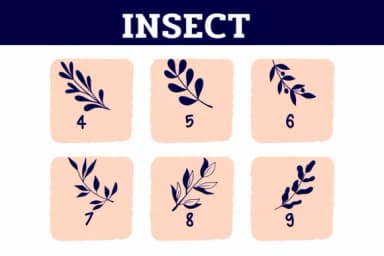 Insect by Sirinart — Dingbats Font — thumbnail 4