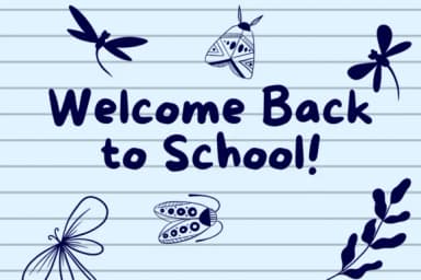 Insect by Sirinart — Dingbats Font — thumbnail 8