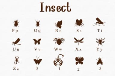 Insect by Nongyao — Dingbats Font — thumbnail 3