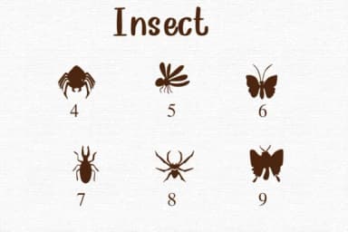 Insect by Nongyao — Dingbats Font — thumbnail 4
