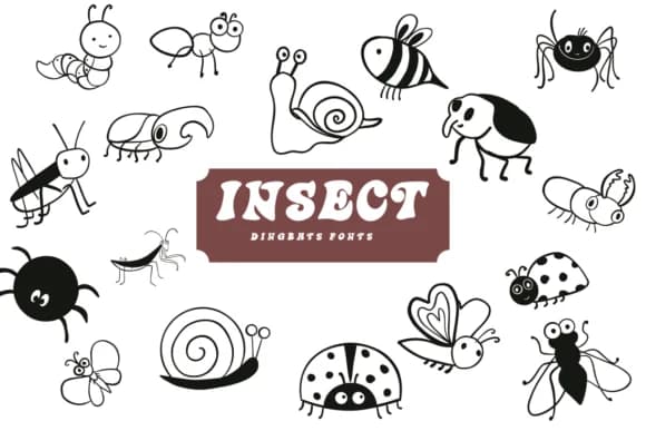 Insect by Suphitchaya — Dingbats Font