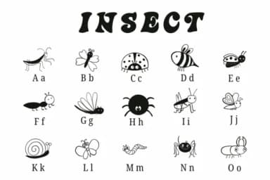 Insect by Suphitchaya — Dingbats Font — thumbnail 2