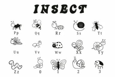 Insect by Suphitchaya — Dingbats Font — thumbnail 3