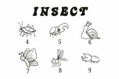 Insect by Suphitchaya — Dingbats Font — thumbnail 4