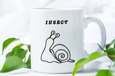 Insect by Suphitchaya — Dingbats Font — thumbnail 7