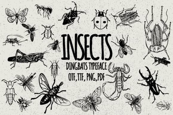 Insects by Minimalistartstudio — Dingbats Font