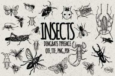 Insects by Minimalistartstudio — Dingbats Font — thumbnail 1