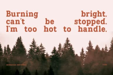 Itbrickman Regular by Indotype Foundry — Slab Serif Font — thumbnail 6