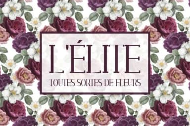 Joliè by Minimalistartstudio — Slab Serif Font — thumbnail 2