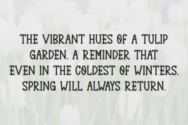 Joyful Tulip by Letterayu — Slab Serif Font — thumbnail 3