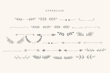 Junggle Leaves by CraftedType Studio — Dingbats Font — thumbnail 2