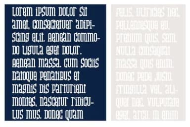 Kaliedophone by Illustration Ink — Slab Serif Font — thumbnail 5