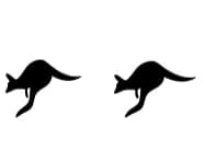 Kangaroo by Ketsarin — Dingbats Font — thumbnail 8