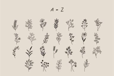 Kembang by SiapGraph — Dingbats Font — thumbnail 2