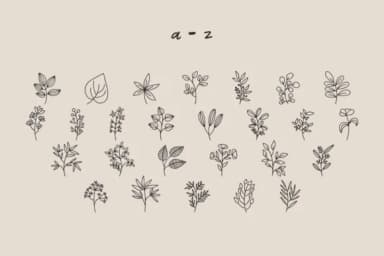 Kembang by SiapGraph — Dingbats Font — thumbnail 3