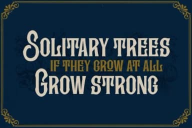 Kingstown Parlour by Damarletter — Slab Serif Font — thumbnail 8