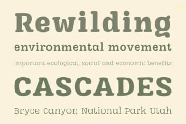 Kronn by DHAMMADHA STUDIO — Slab Serif Font — thumbnail 4