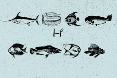 La Mer by Minimalistartstudio — Dingbats Font — thumbnail 3