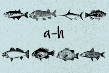 La Mer by Minimalistartstudio — Dingbats Font — thumbnail 5