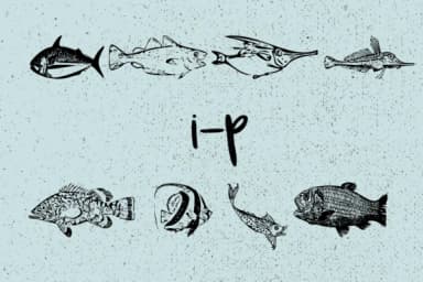 La Mer by Minimalistartstudio — Dingbats Font — thumbnail 6