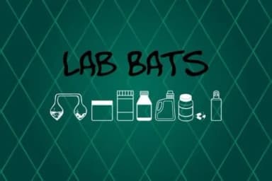 Lab Bats by Freebies — Dingbats Font — thumbnail 2