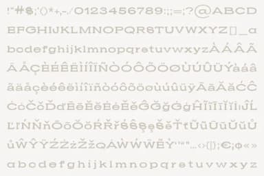 Lacona by Minimalistartstudio — Slab Serif Font — thumbnail 4