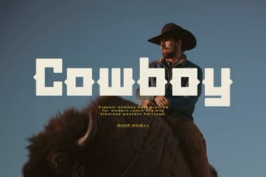 Lanarei by Gracetypestudio — Slab Serif Font — thumbnail 2