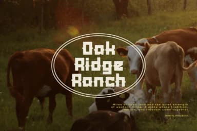 Lanarei by Gracetypestudio — Slab Serif Font — thumbnail 4