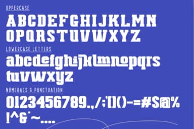 Largely Define by 177Studio — Slab Serif Font — thumbnail 7