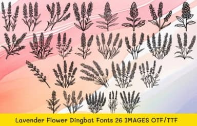 Lavender Flower by MOMAT THIRTYONE — Dingbats Font — thumbnail 1