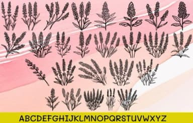 Lavender Flower by MOMAT THIRTYONE — Dingbats Font — thumbnail 2