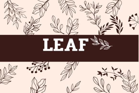 Leaf by Sirinart — Dingbats Font